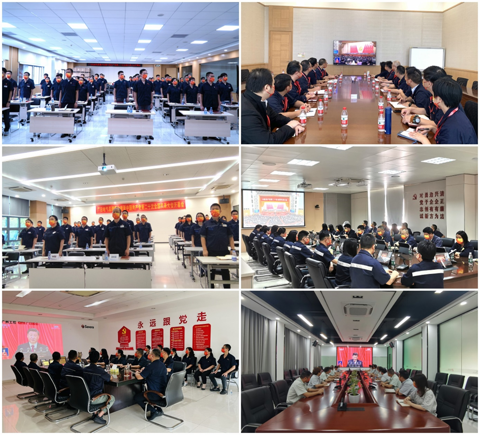 赏金女王(中国官方)最新IOS/安卓版/手机版APP下载