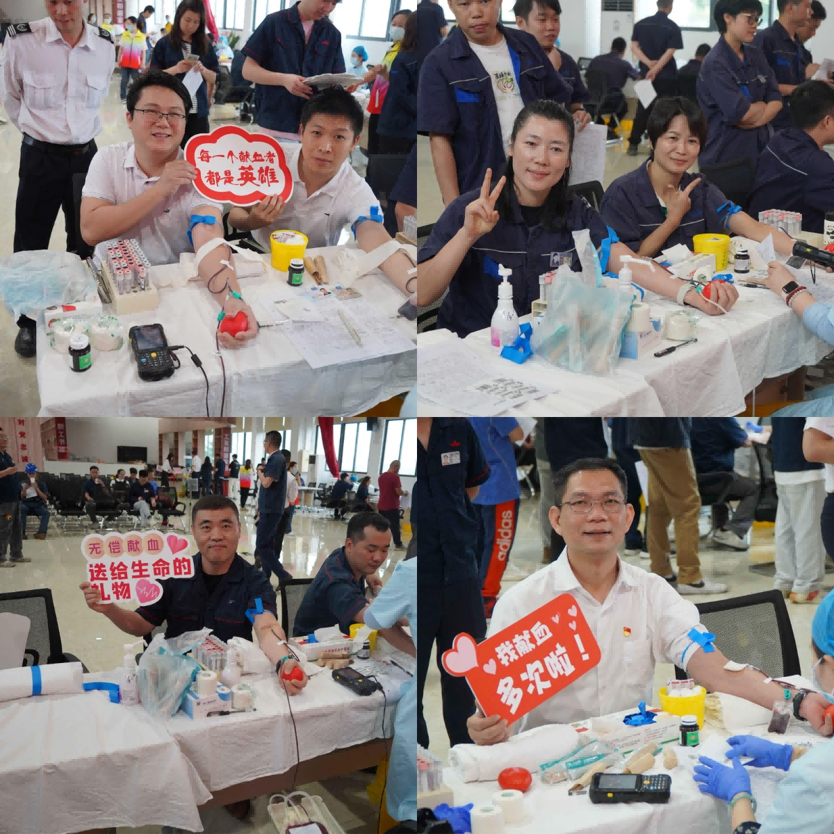 赏金女王(中国官方)最新IOS/安卓版/手机版APP下载
