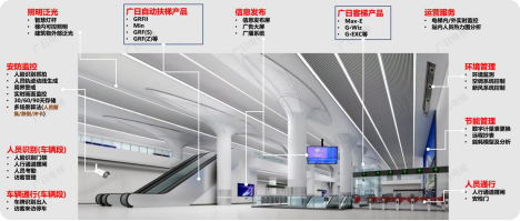 赏金女王(中国官方)最新IOS/安卓版/手机版APP下载